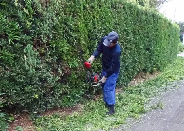 作業するスタッフ